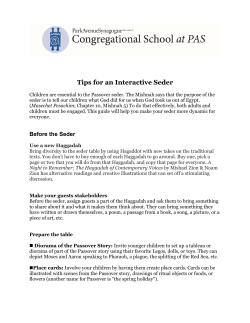 Interactive Seder Suggestions 2017