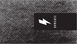 Manual in Detail