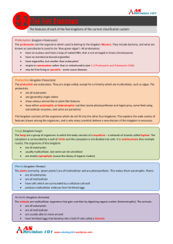 The features of each of the five kingdoms of the current classification