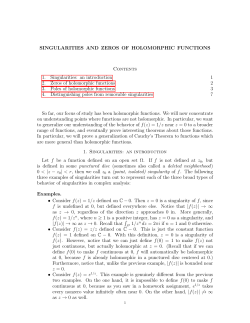 SINGULARITIES AND ZEROS OF HOLOMORPHIC FUNCTIONS