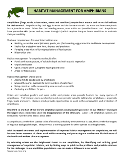 HABITAT MANAGEMENT FOR AMPHIBIANS