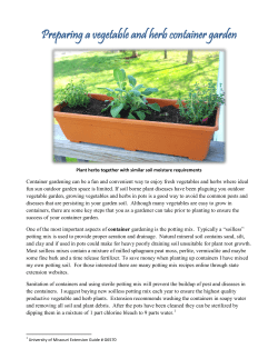 Preparing a vegetable and herb container garden
