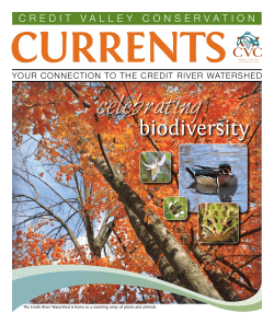 celebrating biodiversity - Credit Valley Conservation