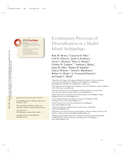 Evolutionary Processes of Diversification in a Model Island