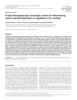 A high throughput gas exchange screen for determining rates of