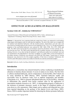 Effects of acid leaching on halloysite
