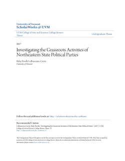 Investigating the Grassroots Activities of Northeastern State Political