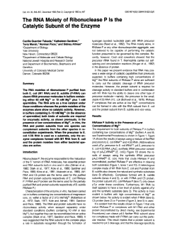 The RNA Moiety of Ribonuclease P Is the Catalytic Subunit of the