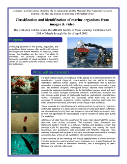 Classification and identification of marine organisms from images