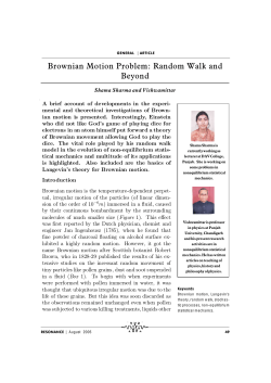 Brownian Motion Problem: Random Walk and Beyond