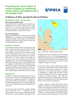 Promoting the conservation of marine ecology by monitoring whale