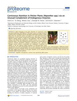 Carnivorous Nutrition in Pitcher Plants (Nepenthes spp.) via an