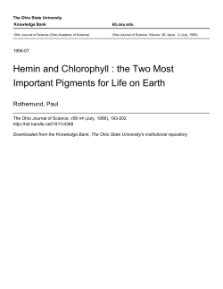 Hemin and Chlorophyll : the Two Most Important