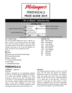 perennials - Milaeger`s