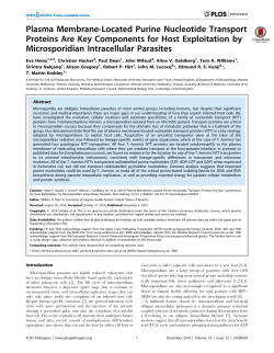 Plasma Membrane-Located Purine Nucleotide