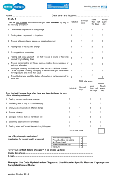 Appendix B &ndash; IAPT Paper Based Data Set