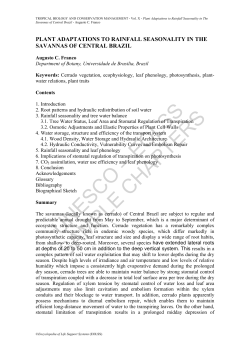 Plant Adaptations to Rainfall Seasonality in The Savannas of