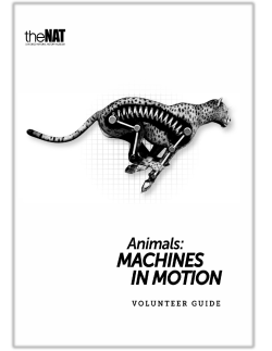 Animals: Machines in Motion - San Diego Natural History Museum