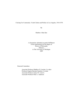 Cruising For Community: Youth Culture and Politics in
