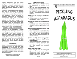 Pickling Asparagus