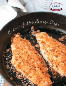 Catch of the Everyday Cookbook