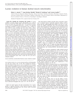 Lactate oxidation in human skeletal muscle mitochondria