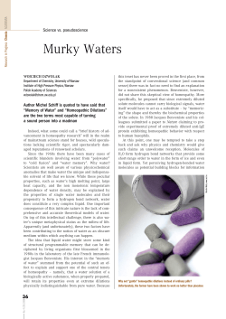 Murky Waters