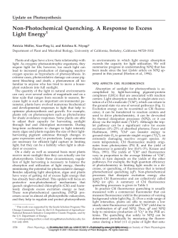 Non-Photochemical Quenching. A Response to