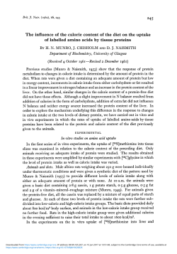 The influence of the calorie content of the diet on the uptake of