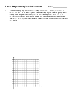 LP Practice Problems