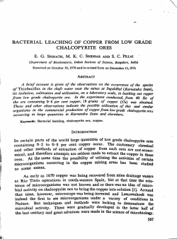bacterial leaching of copper from low grade chalcopyrite ores
