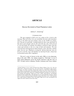 Slavery Revisited in Penal Plantation Labor