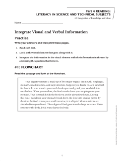 Integrate Visual and Verbal Information Practice