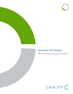 Anatomy of change: how inclusive cultures evolve