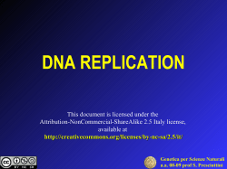 DNA Replication