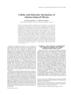 Robledo R, Mossman B. 1999. Mediators of Fibrosis by Asbestos