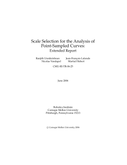 Scale Selection for the Analysis of Point
