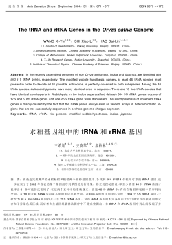 水稻基因组中的 tRNA 和 rRNA 基因
