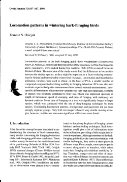 Locomotion patterns in wintering bark