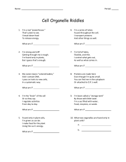 Cell Organelle Riddles