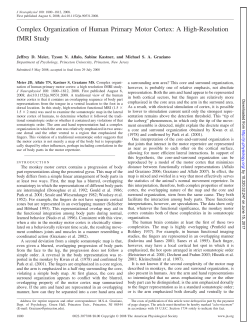 Complex Organization of Human Primary Motor Cortex: A High
