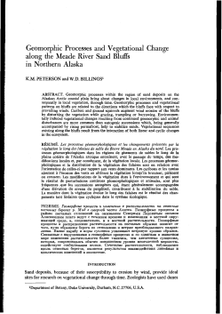 Geomorphic Processes and Vegetational Change along the Meade