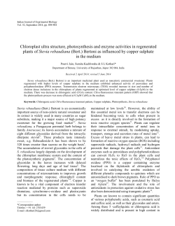 Chloroplast ultra structure, photosynthesis and enzyme activities in