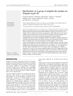 Identification of a group of shigella