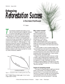 Enhancing Reforestation Success in the Inland Northwest