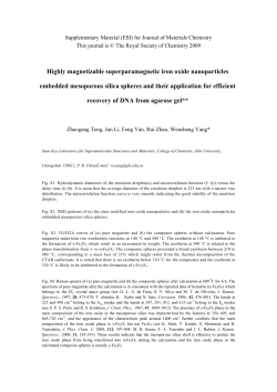 Highly magnetizable superparamagnetic iron oxide nanoparticles