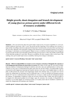 Height growth, shoot elongation and branch development of