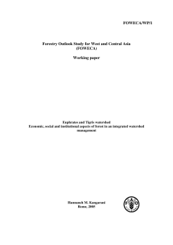 Euphrates and Tigris watershed. Economic, social and institutional