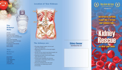 Kidney Rescue&trade;