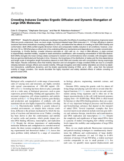 Crowding Induces Complex Ergodic Diffusion and Dynamic